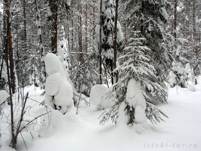 снежные_существа_snezhnye_sushchestva